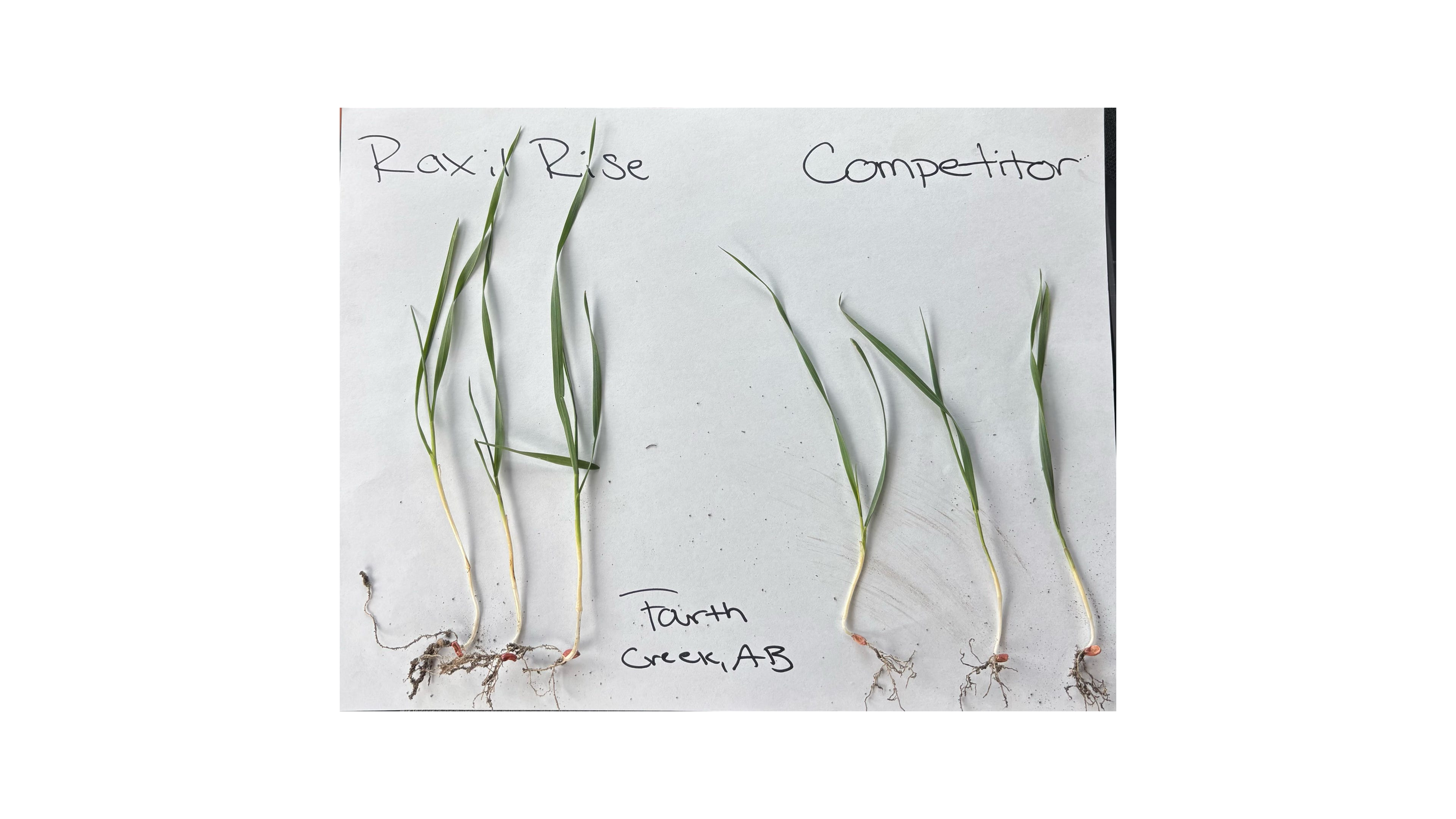 null CarouselImageSlide